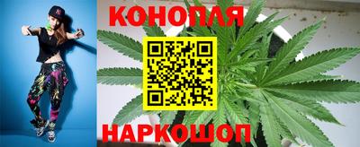 кокс Кингисепп