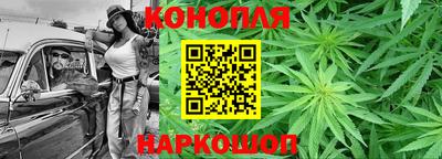 кокс Кингисепп
