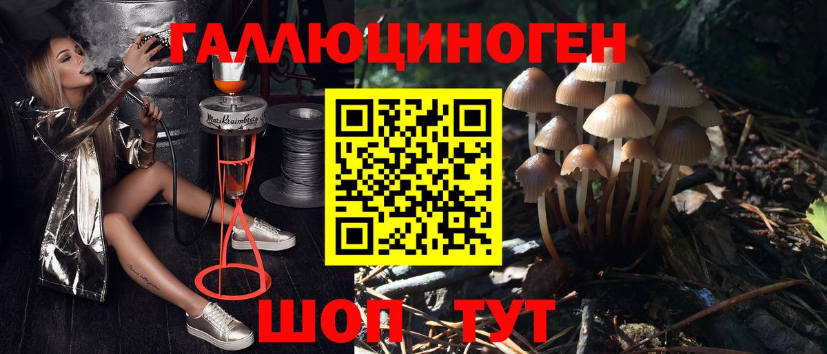 Галлюциногенные грибы ЛСД  Вход с VPN  Красный Сулин  Галлюциногенные грибы MAGIC MUSHROOMS 